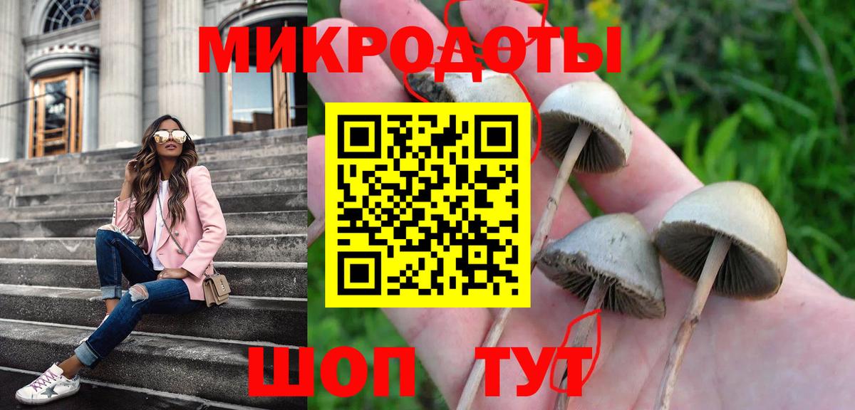 Псилоцибиновые грибы мухоморы Коряжма