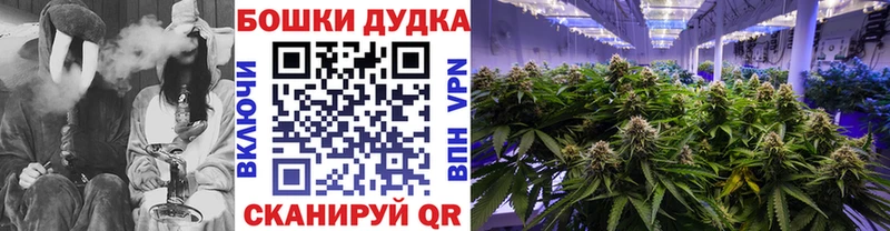 купить наркоту  Коряжма  Каннабис SATIVA & INDICA 